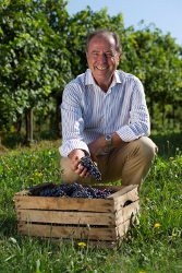 Armando Serena, Presidente del Consorzio Tutela Vini del Montello e Colli Asolani